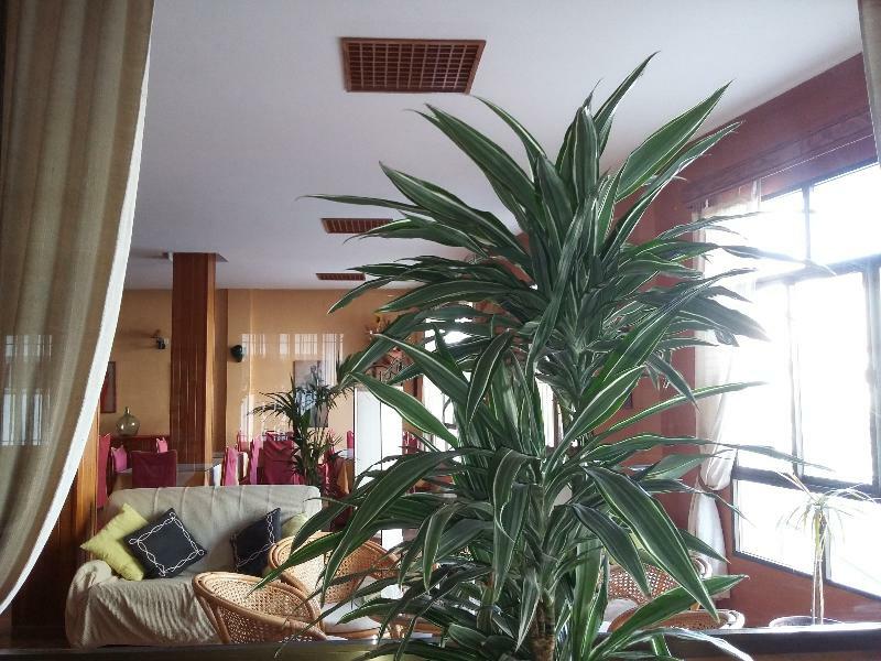 Hotel Tres Jotas Conil 2*